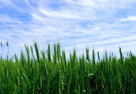 点击查看详细信息<br>标题：   阅读次数：1688