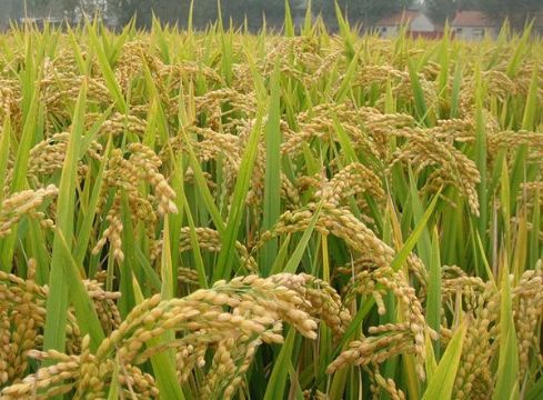 点击查看详细信息<br>标题：   阅读次数：2915